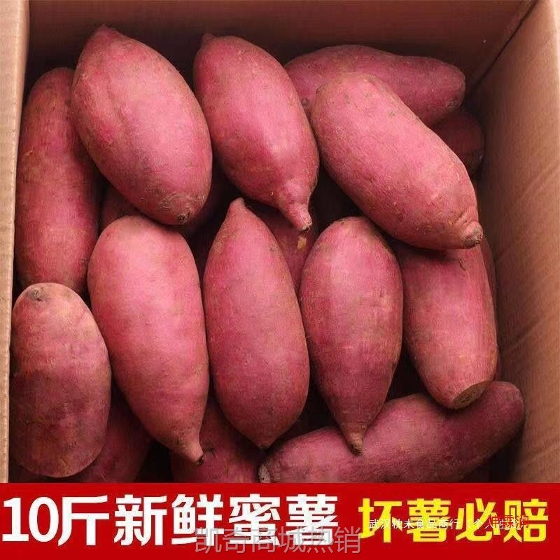 当季现挖产地直发沙地蜜薯流油蜜薯糖心超甜农科院蜜红薯新鲜