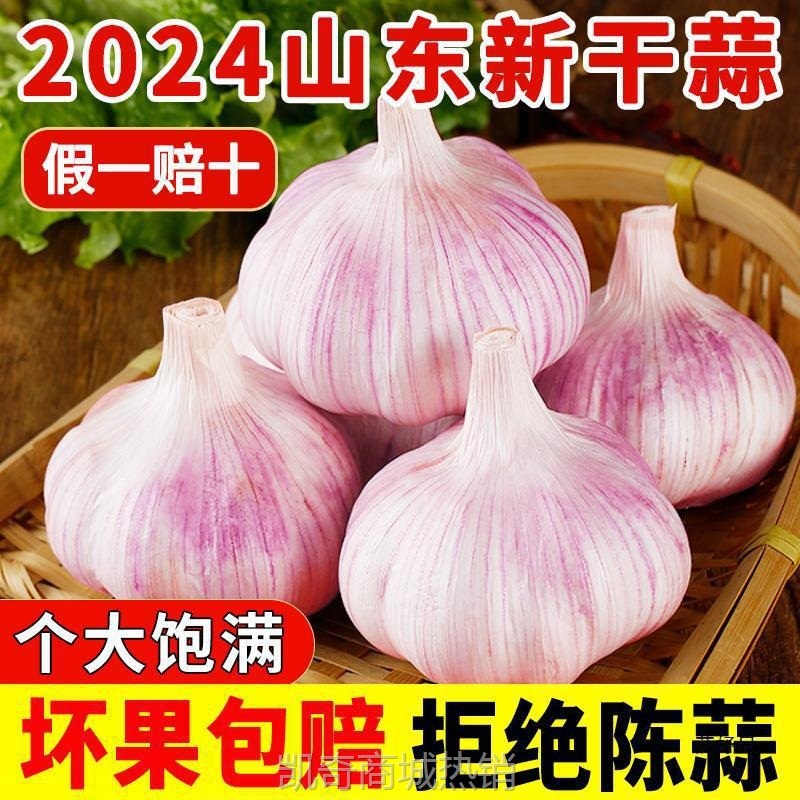 山东金乡大蒜头干蒜5斤新鲜蒜籽2024当季蔬菜批发紫皮10斤特大果