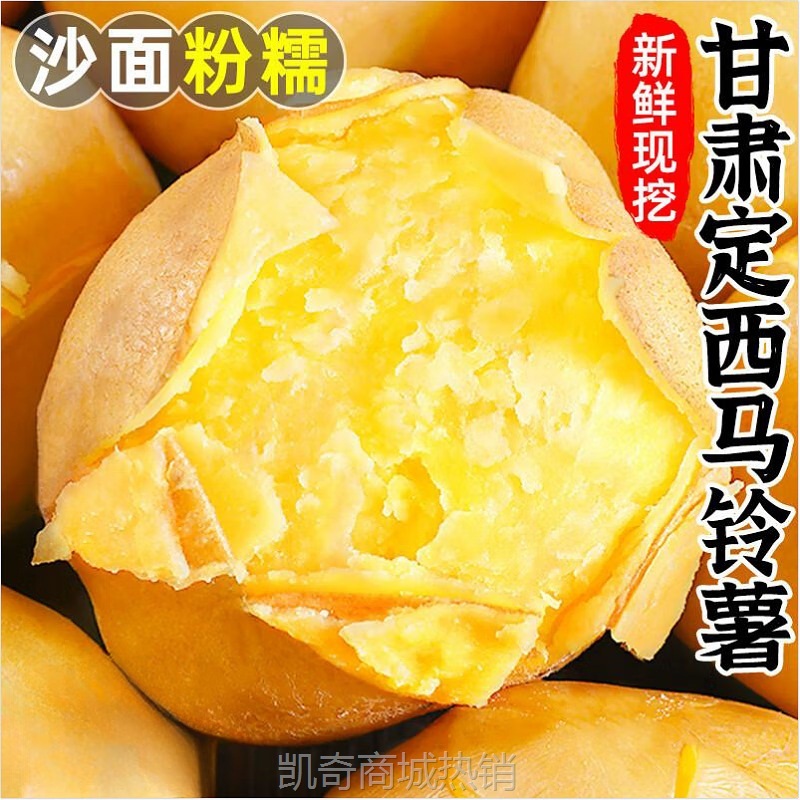 甘肃定西沙面土豆1/2/3/5/9斤新鲜马铃薯高山黄心大洋芋农家蔬菜