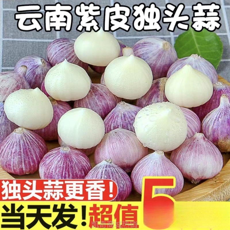 云南紫皮独头蒜斤新鲜当季独蒜大蒜红皮新蒜干蒜头独子农家腌制