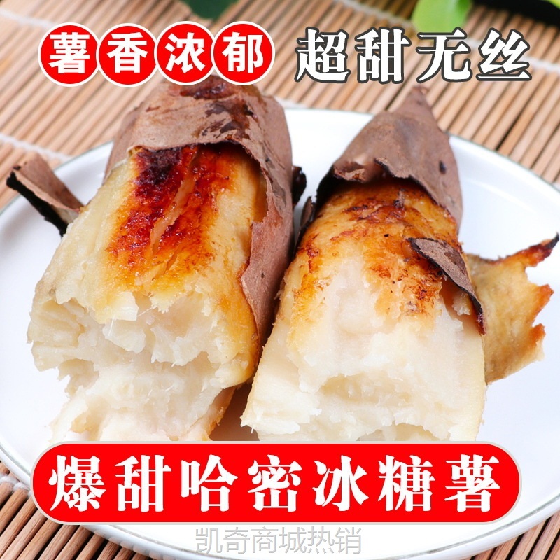 山东白哈密冰糖薯新鲜红薯现挖沙地番薯超甜蒸烤都好吃白薯蜜薯