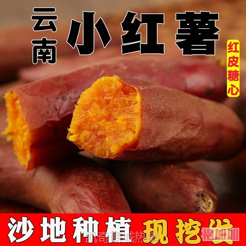 云南蜜薯糖心红薯新鲜番薯农家沙地烤地瓜农科院山芋农家自种