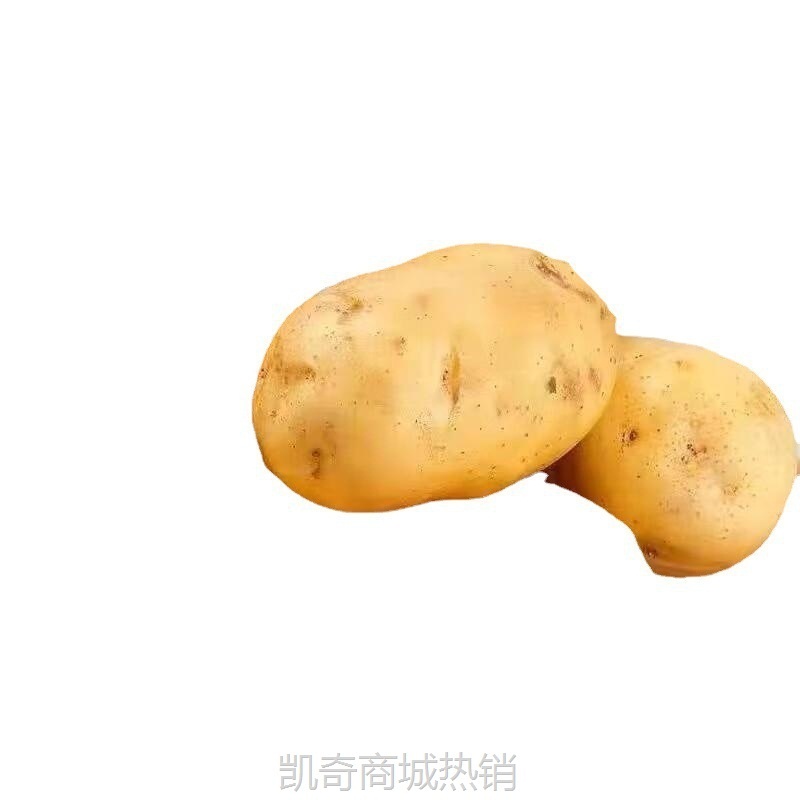 云南黄皮土豆新鲜现挖黄心洋芋大个马铃薯农产品自种蔬菜整箱包邮