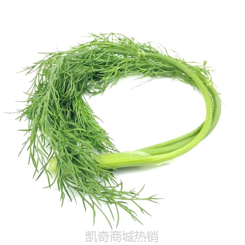 甄好货小茴香菜新鲜包邮时令特色蔬菜新鲜农家特产茴香苗坏单包赔
