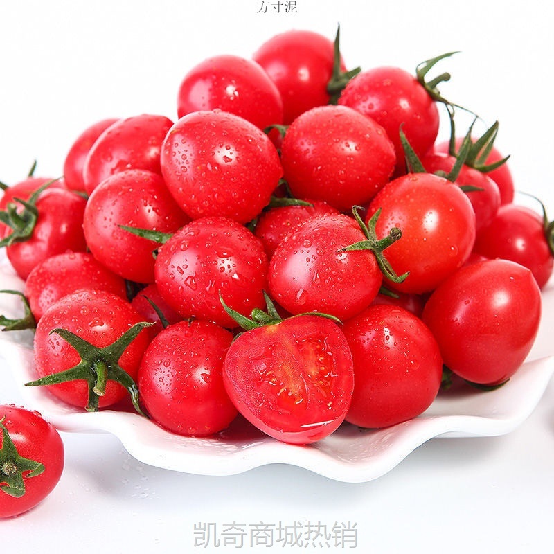 广西圣女果小番茄1-5斤新鲜水果当季番茄整箱蔬菜西红柿一件 批发