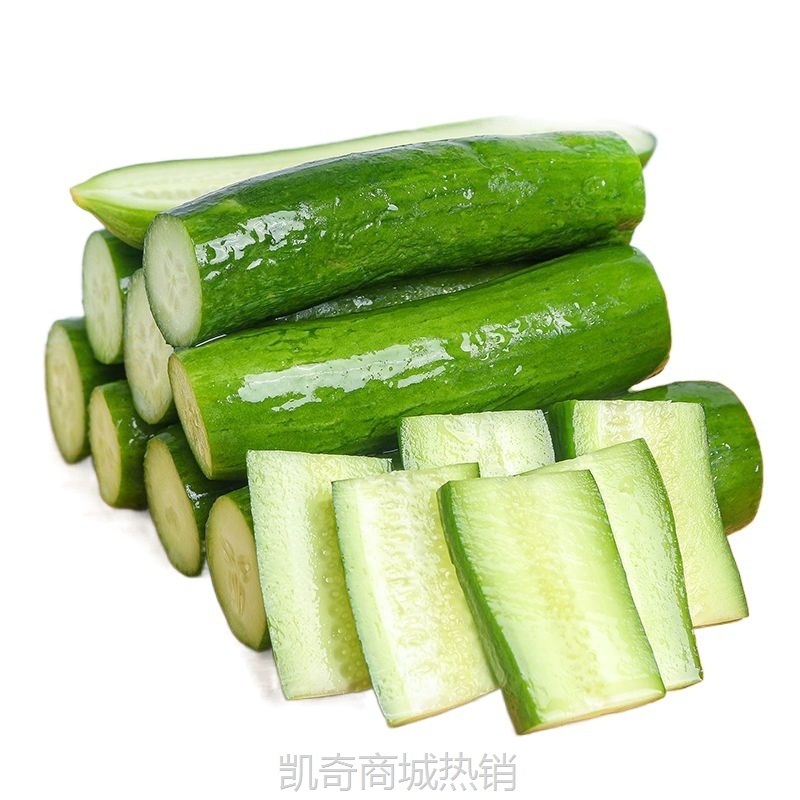 山东新鲜无刺水果小黄瓜生吃当季蔬菜水果黄瓜现摘现发斤5斤批发
