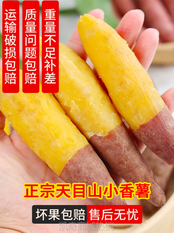 天目山小香薯5斤临安产地直销板栗小红薯新鲜食用地瓜手指番薯甜
