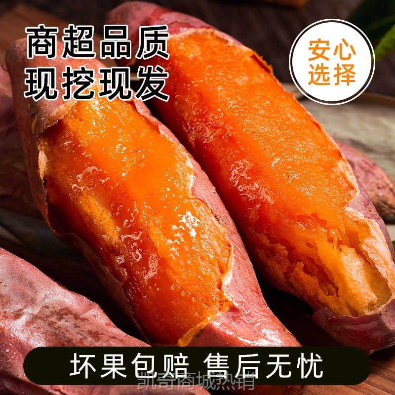 正宗烟薯25号新鲜农家自种沙地板栗红薯5黄心斤蜜薯番薯烤地瓜10