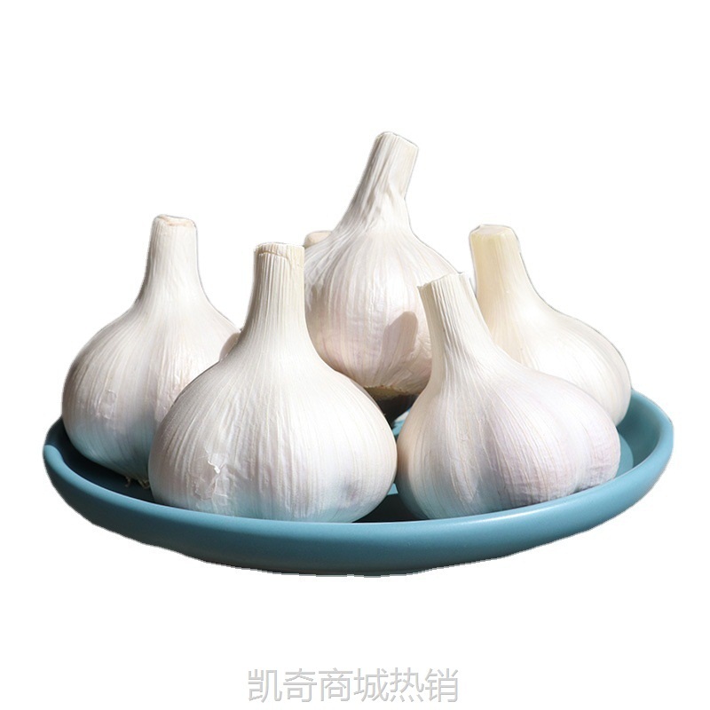 23年苍山大蒜四六瓣山东新鲜干蒜头兰陵老品种笨白皮蒜子大瓣