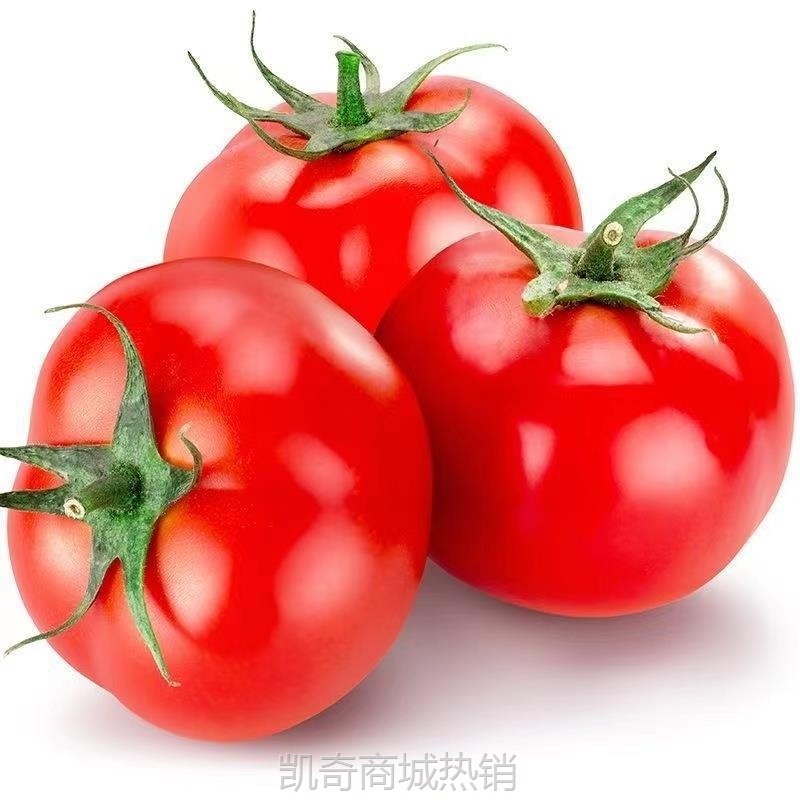 水果新鲜自然陕西泾阳沙瓤蔬菜孕妇当季普罗旺斯生吃熟番茄西红柿
