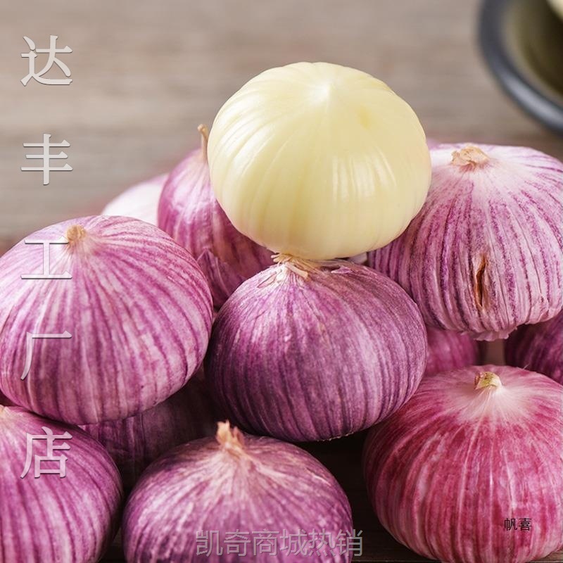 2024云南紫皮独头蒜2024新蒜5斤大蒜头新鲜农家蒜头干蒜当季特产