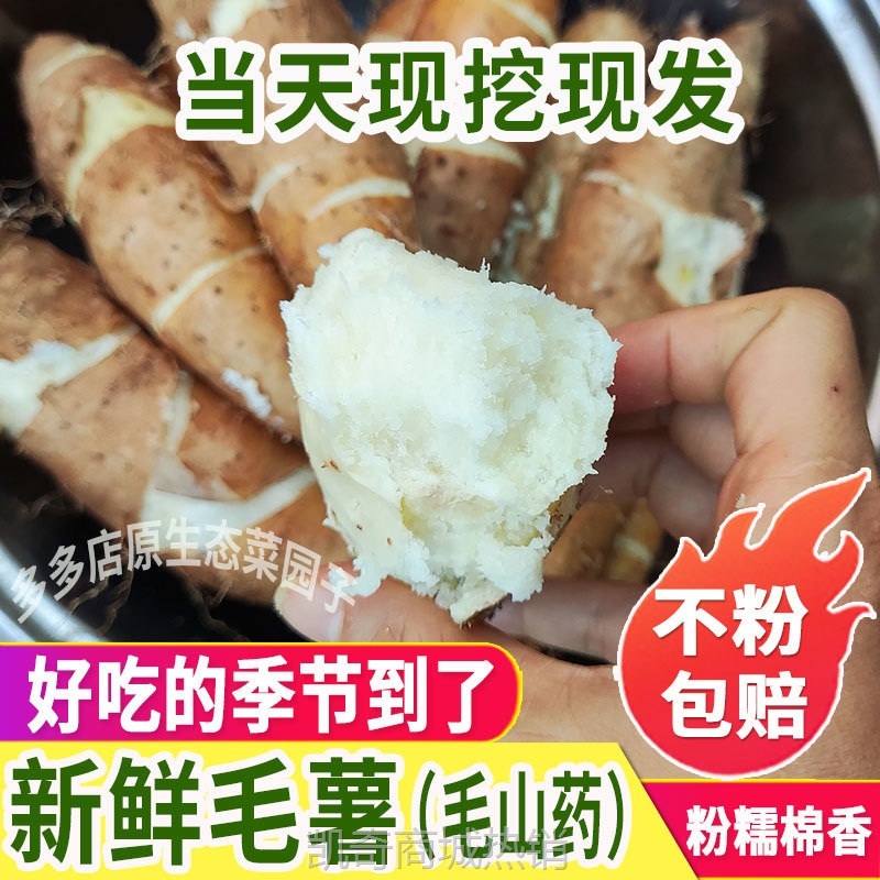 新鲜毛薯淮山怀山药白心脚板薯广东甜薯毛薯火苕粉糯茂名2斤包邮