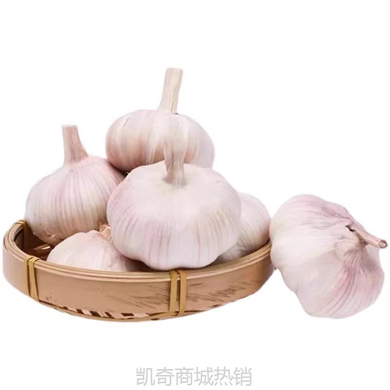 2024当季新鲜大蒜头干大蒜紫白红皮大蒜薄皮干蒜晒干大瓣蒜头