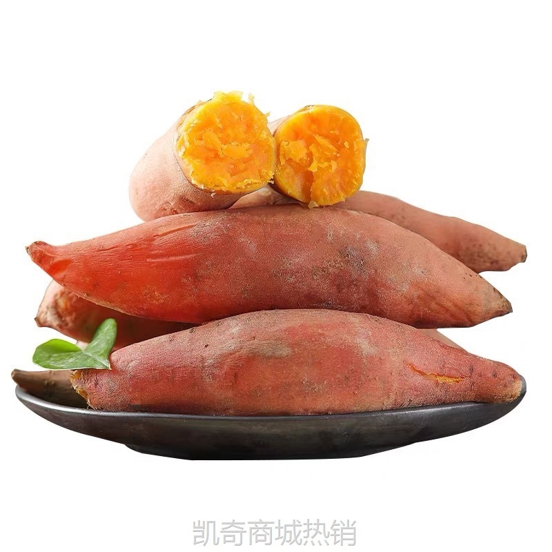 农家自种龙九红薯龙薯9号软糯番薯美味地瓜蒸吃新鲜味美黄心红署
