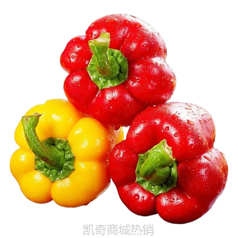 山东红椒黄椒绿椒甜椒新鲜现摘五彩椒水果椒甜椒一件代发