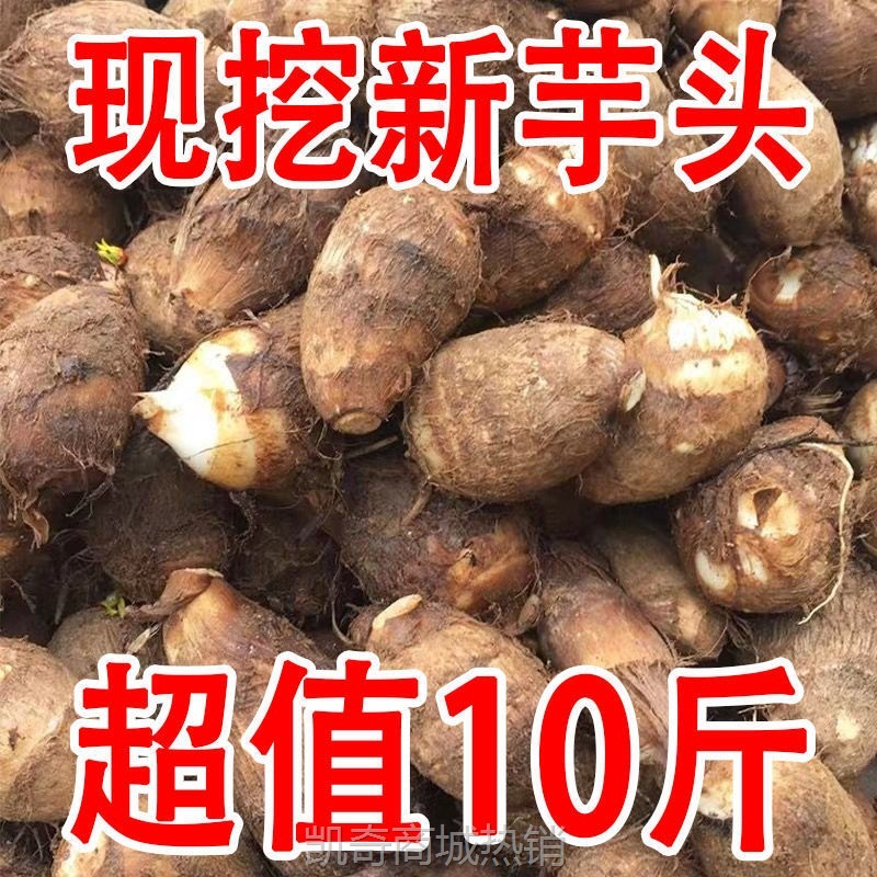 【万人】山东新鲜小芋头毛芋头香芋软粉糯芋艿应季蔬菜包邮