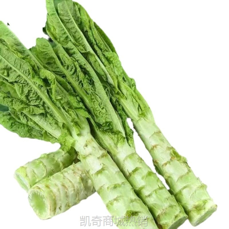安徽新鲜莴苣莴笋香嫩农家青笋现砍青皮绿心莴笋时令蔬菜大量批发