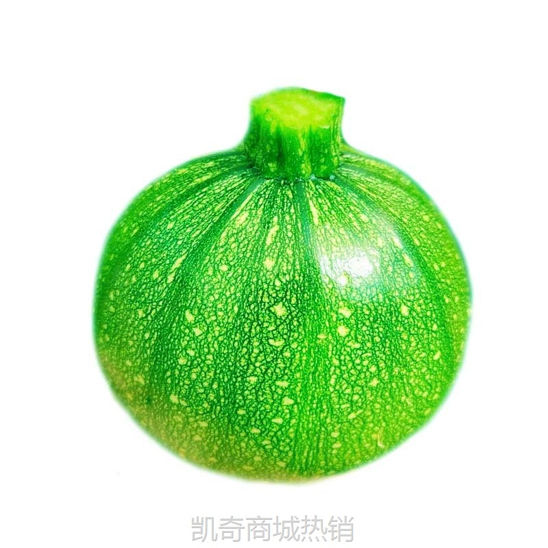 云南小圆瓜新鲜嫩南瓜现摘西葫芦瓜圆形绿皮嫩瓜甜瓜金瓜农家蔬菜