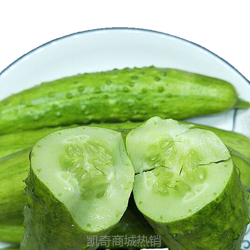 海阳白玉黄瓜 脆嫩现摘现发水果新鲜孕妇黄瓜3-4.5斤山东小青瓜爽