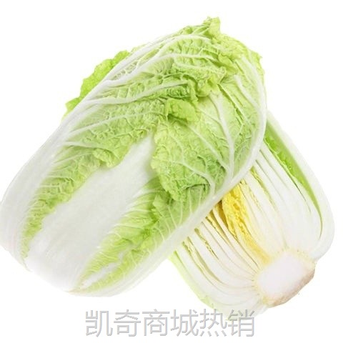 ll内蒙古新鲜大白菜1-9斤包邮当季农家自种现摘包心菜奶白菜抱头