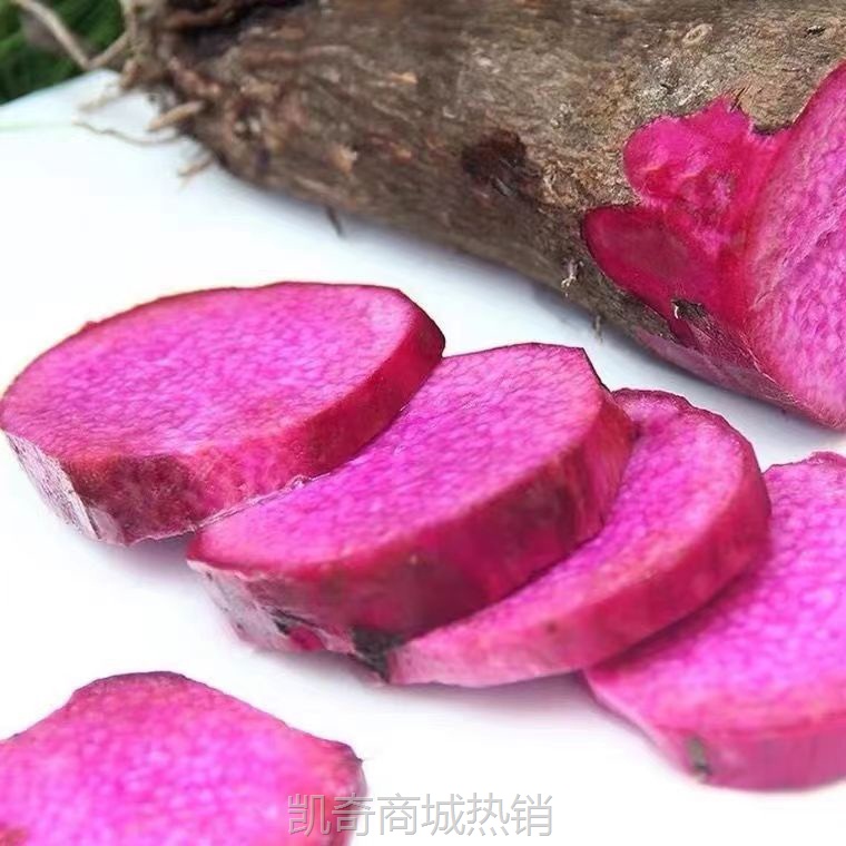 赣南紫山药铁棍怀山紫玉淮山药现挖紫大薯脚板薯农家种植新鲜蔬菜