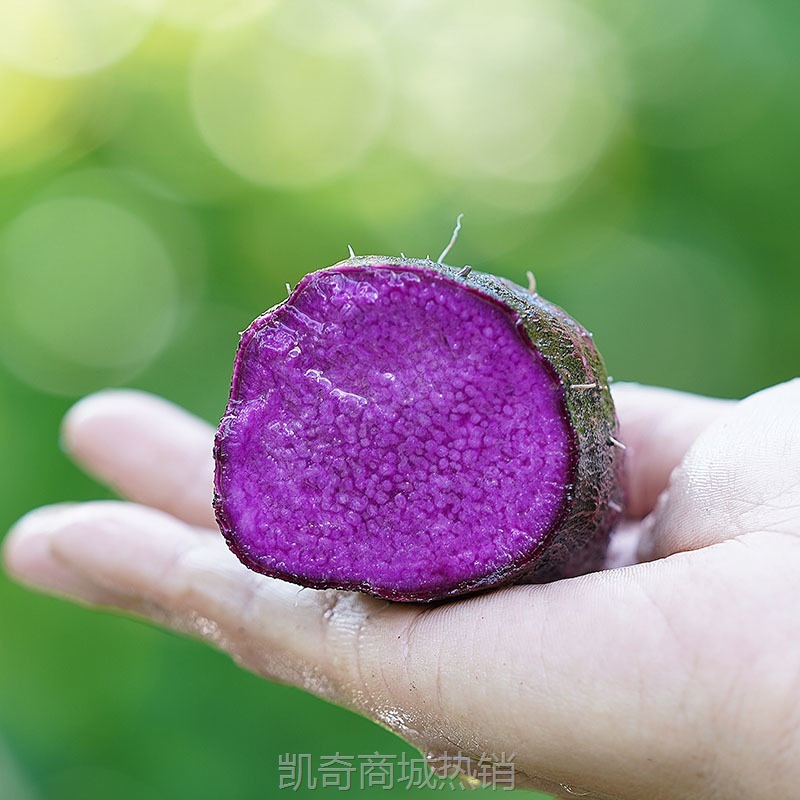 顺丰赣南紫山药紫大薯脚板薯新鲜蔬菜现挖山药紫玉淮山整箱包邮