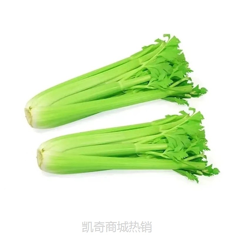 榨汁西芹新鲜大棵半叶西洋芹菜绿色蔬菜嫩心青菜香芹加冰现摘5斤