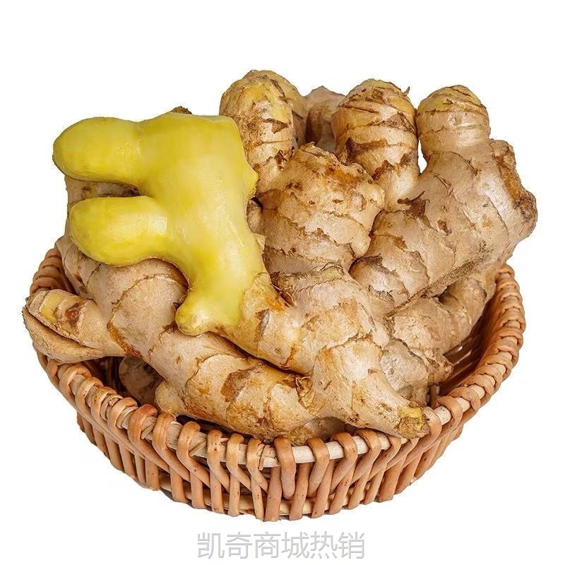 生姜批发云南小黄姜老姜新鲜现挖嫩姜月子姜大块黄姜新鲜蔬菜批发