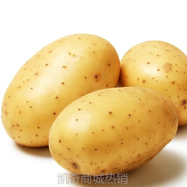 【超低价】新鲜黄皮黄心土豆现挖马铃薯洋芋当季蔬菜农家土豆产地