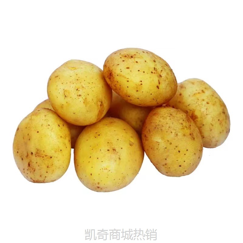 恩施小土豆现挖湖北新鲜黄心土豆10斤当季蔬菜整箱迷你马铃薯洋芋