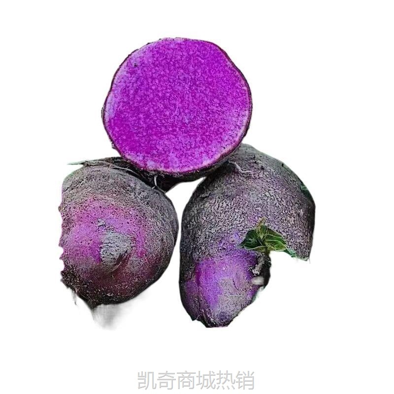 赣南紫山药铁棍山药紫淮山药大薯脚板薯紫薯毛薯新鲜蔬菜山药批发
