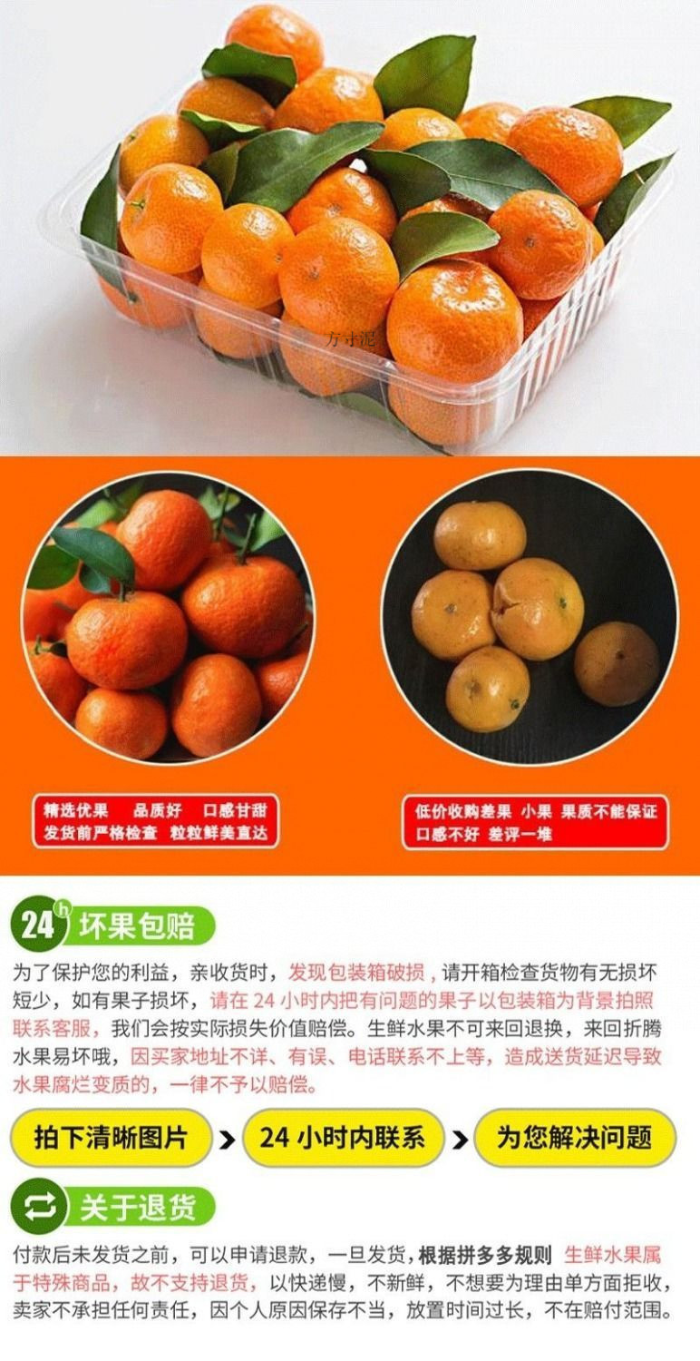 1dc6882b-c0bc-4ef5-acbe-052ebc057246.jpe