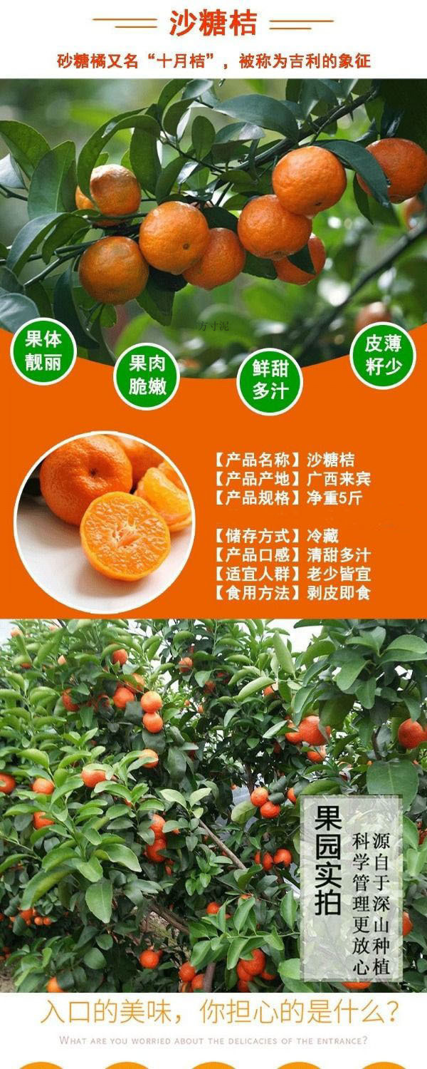 d8f26d60-e690-4ce1-b135-306e521197cc.jpe