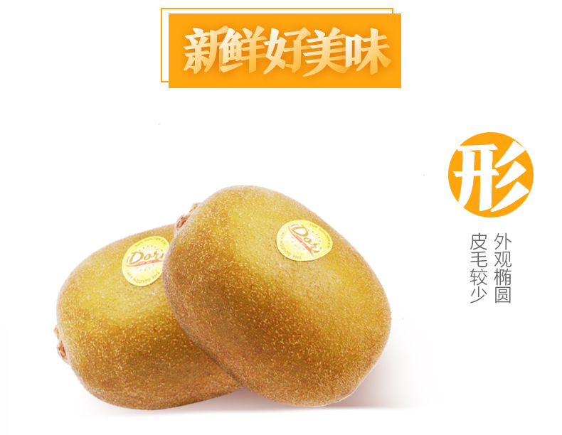 黄心猕猴桃_08.jpg