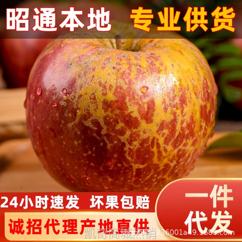 正宗云南昭通丑苹果水果新鲜当季整箱现摘冰糖心苹果甜脆一件代发