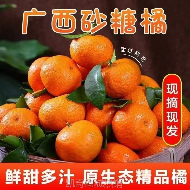 正宗广西沙糖桔纯甜整箱水果薄皮无核砂糖橘小橘子金秋砂糖橘批发