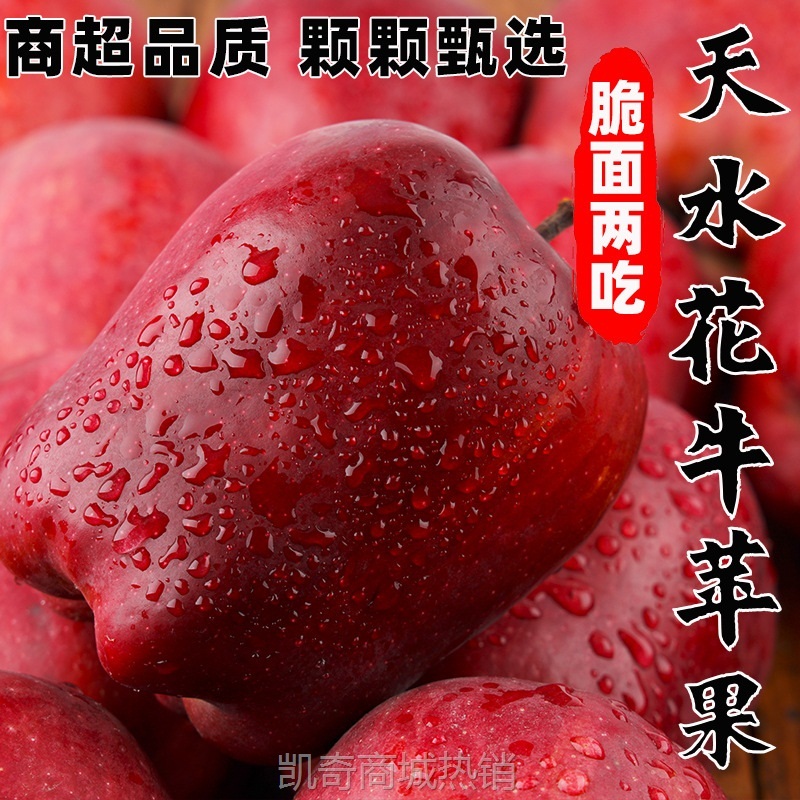 甘肃天水花牛苹果水果10斤小孩老人新鲜当季红蛇粉面沙脆甜批发