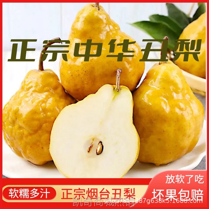 山东烟台中华丑梨莱阳梨威海太婆梨啤梨雪梨秋月新鲜水果整箱软糯