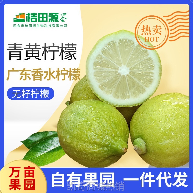 新鲜香水柠檬青柠包邮二级果无籽四季奶茶店专用薄皮厚皮青黄柠檬