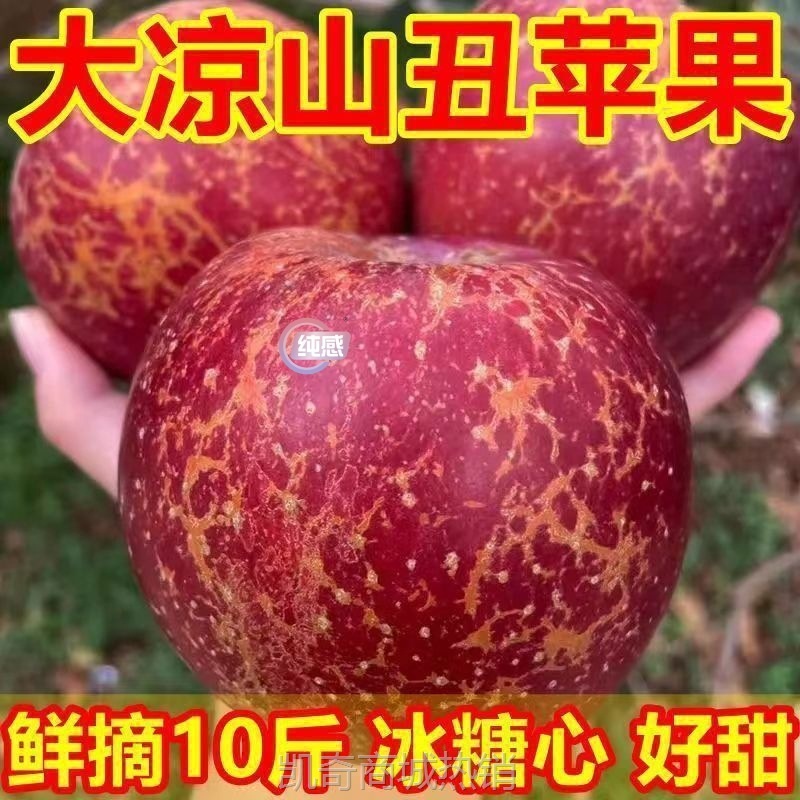【现摘新果脆甜】云南昭通冰糖心丑苹果当季新鲜水果现摘