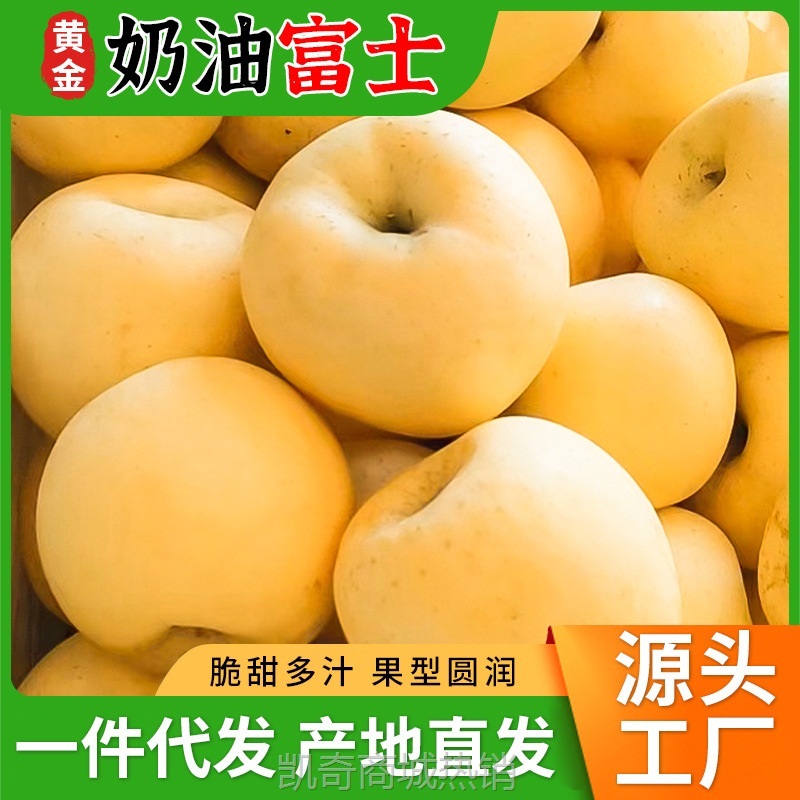 果蔬供应链批发代发应季新鲜水果3斤5斤整箱黄金奶油富士烟台苹果