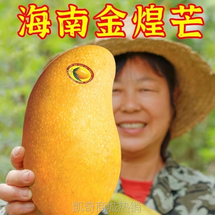 海南金煌芒10斤芒果一级大果新鲜水果现摘青甜心黄皮水仙芒整箱