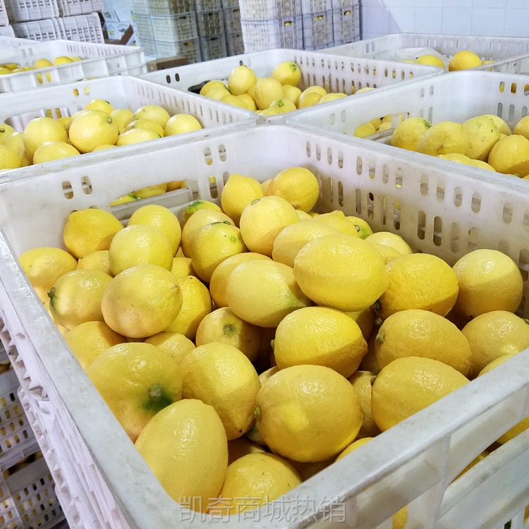 水果批发新鲜安岳黄柠檬中大果1斤3-4个一级果汁多尤力克5斤起卖