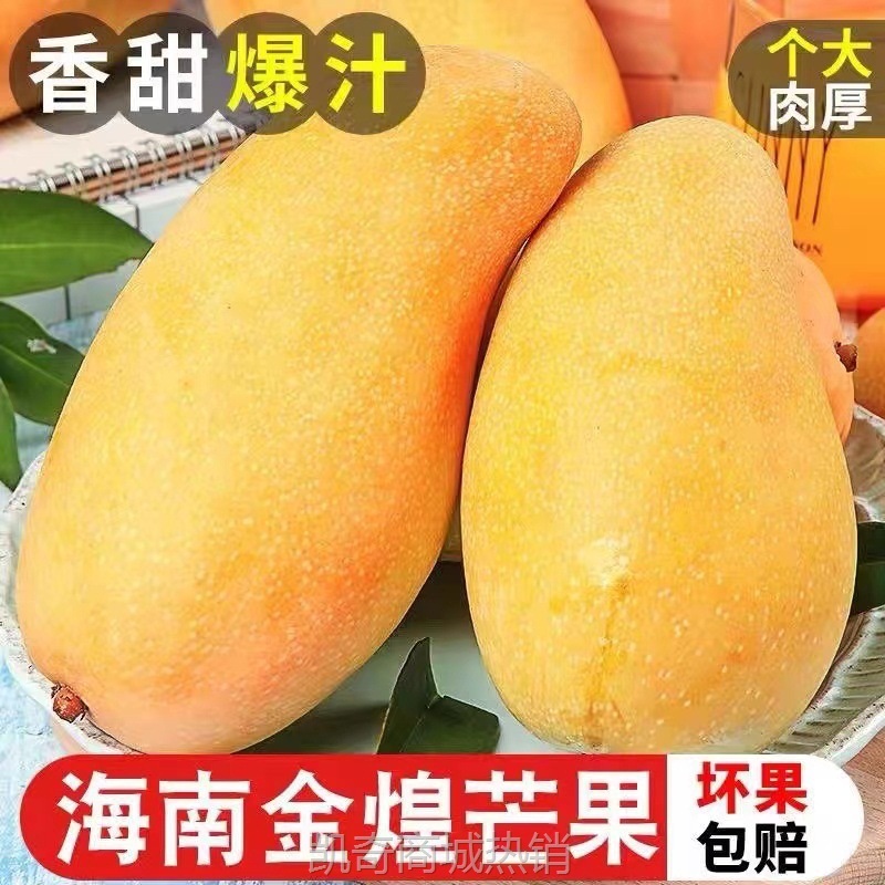 海南金煌芒芒果特一级大果新鲜水果现摘青甜心黄皮水仙芒整箱芒果