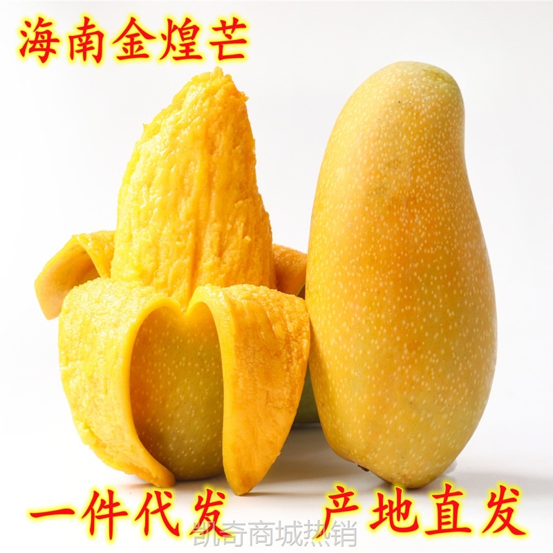 现货一件代发 海南金煌芒果9斤大果新鲜现摘水果供电商各大平台