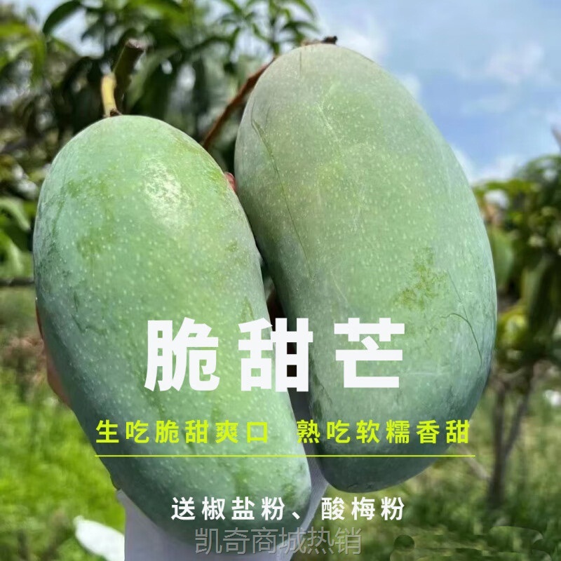 脆甜芒生吃芒果甜心芒果腌芒果酸野生熟两吃版纳大青芒果生吃脆甜