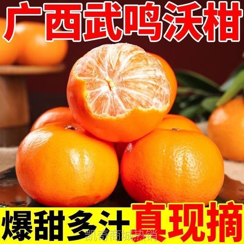 广西正宗武鸣沃柑新鲜上市孕妇水果纯甜橘桔子批发爆甜代发批发