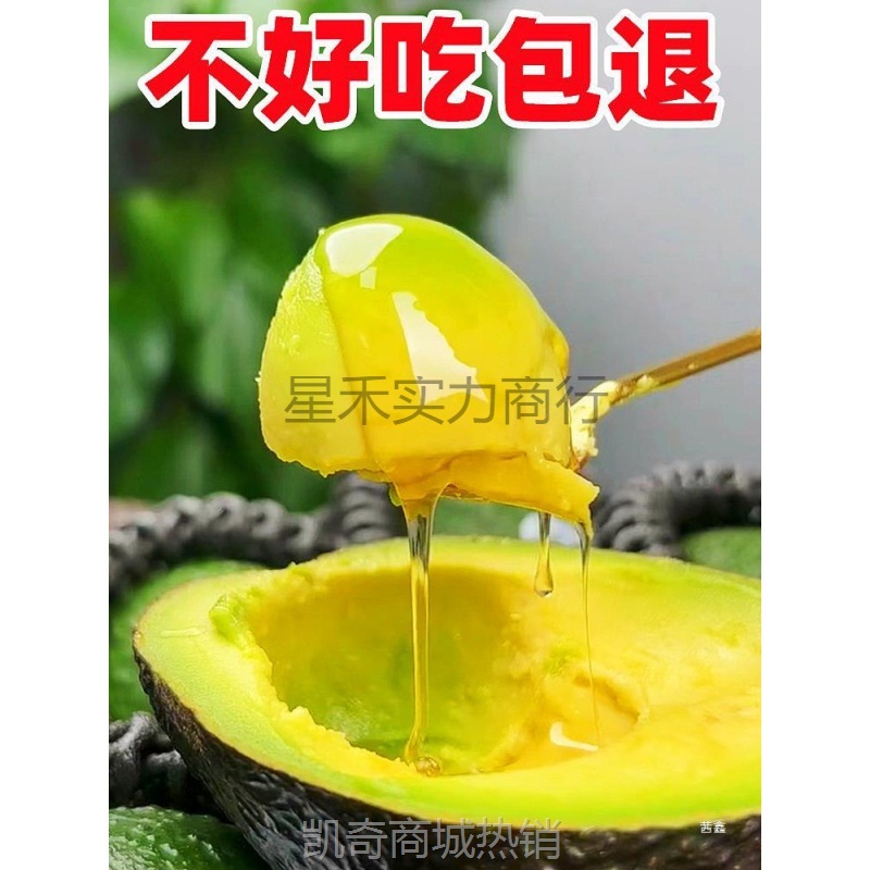 云南哈斯牛油果新鲜应当季国产水果非进口大果熟透即食