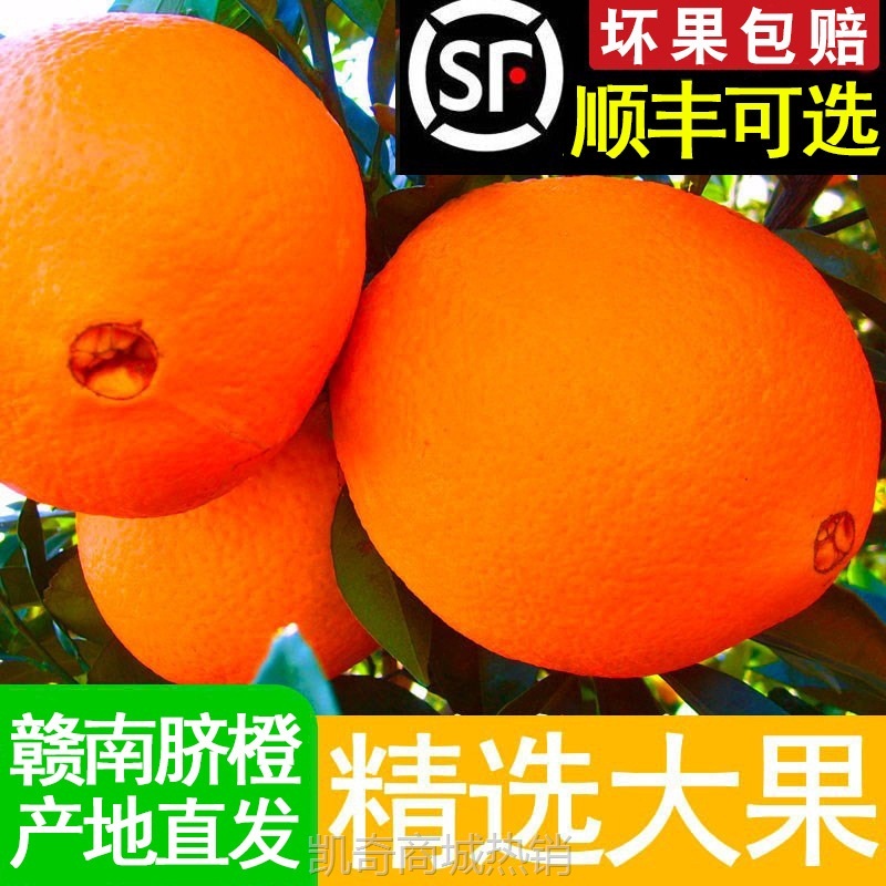 正宗赣南脐橙新鲜水果现摘甜橙江西赣州橙子批发5斤10斤20斤装
