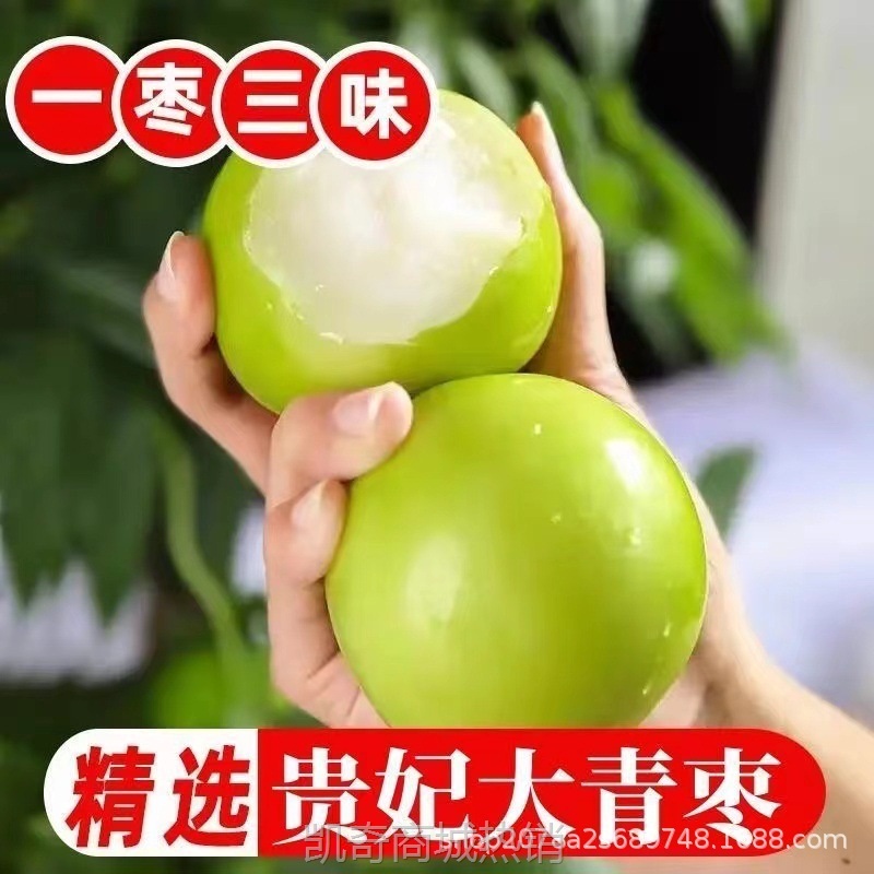 现货福建牛奶贵妃枣大青枣台湾牛奶蜜枣新鲜苹果脆甜冬枣子包邮